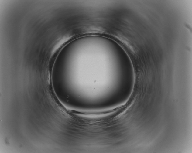 X0000099231317200804241445