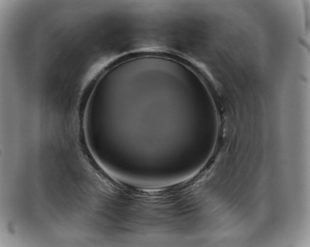 X0000099231319200804241445