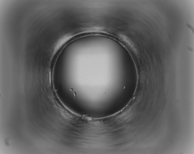 X0000099231320200804241445