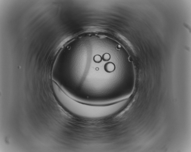 X0000099231321200804241445