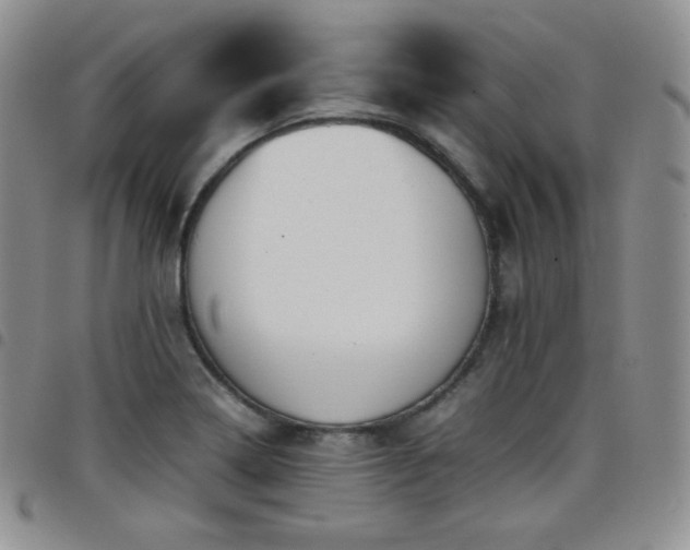 X0000099231322200804241445