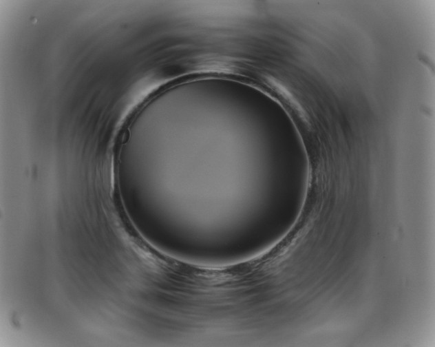 X0000099231323200804241445