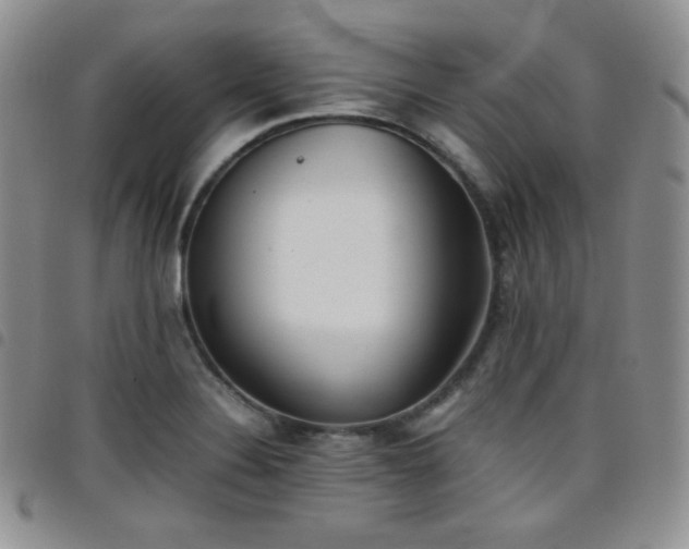 X0000099231324200804241445