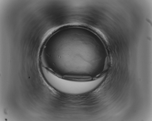 X0000099231327200804241445