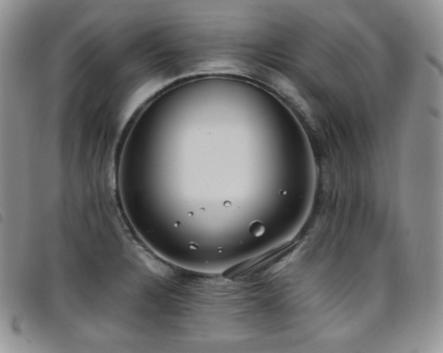 X0000099231328200804241445