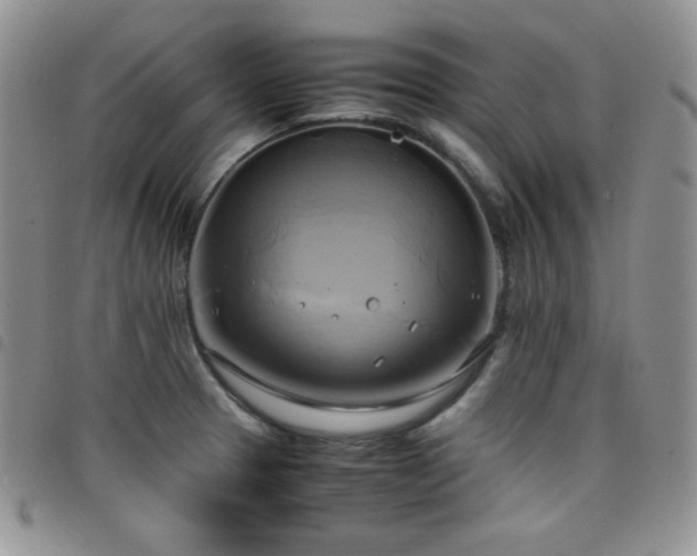 X0000099231329200804241445