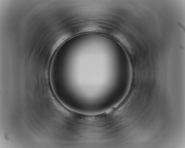 X0000099231330200804241445