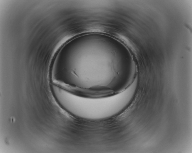 X0000099231331200804241445