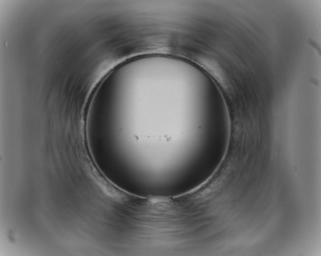 X0000099231332200804241445