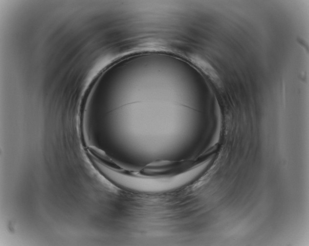 X0000099231334200804241445