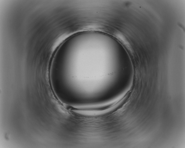X0000099231336200804241445