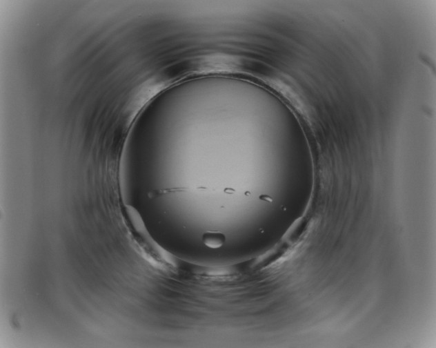 X0000099231337200804241445