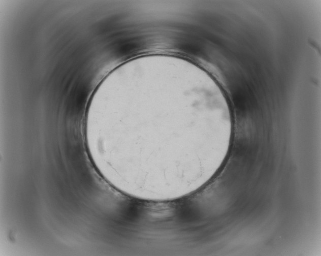 X0000099231338200804241445