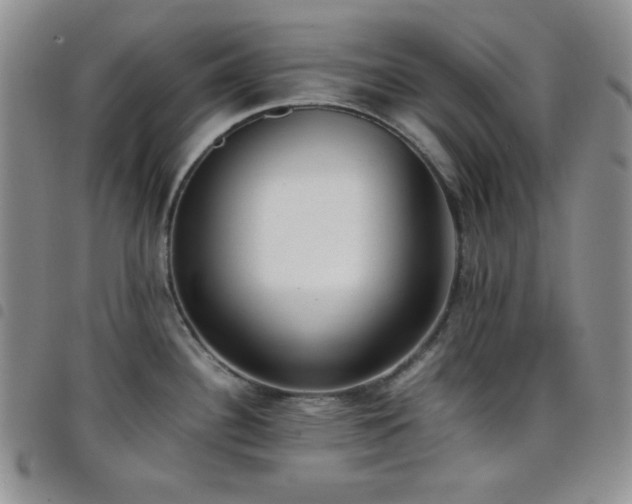 X0000099231340200804241445