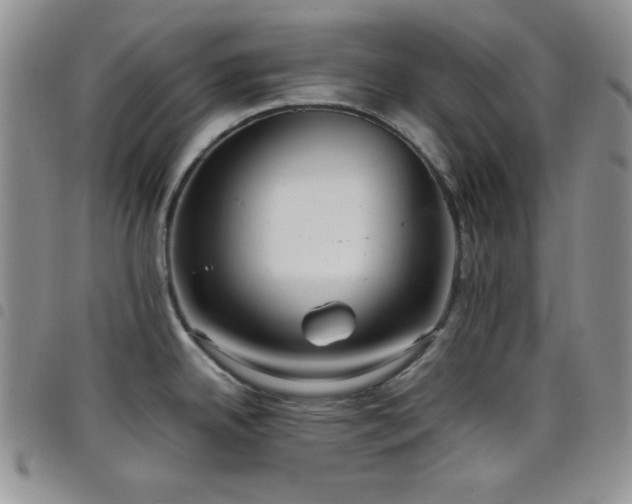 X0000099231342200804241445
