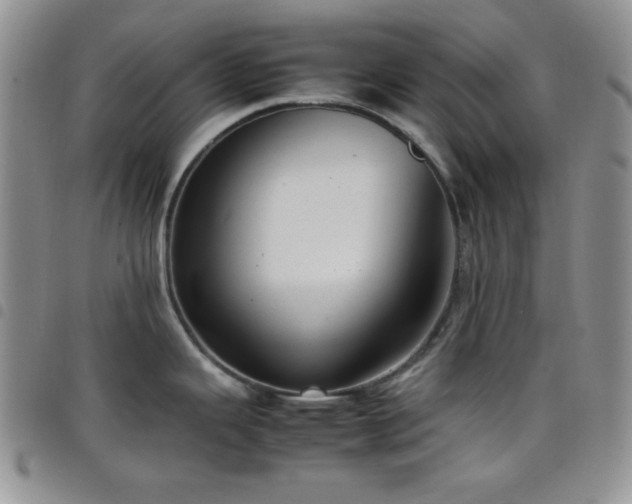 X0000099231343200804241445