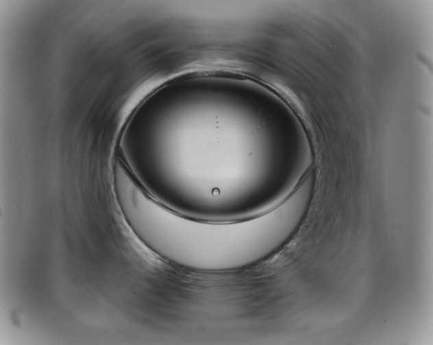 X0000099231344200804241445