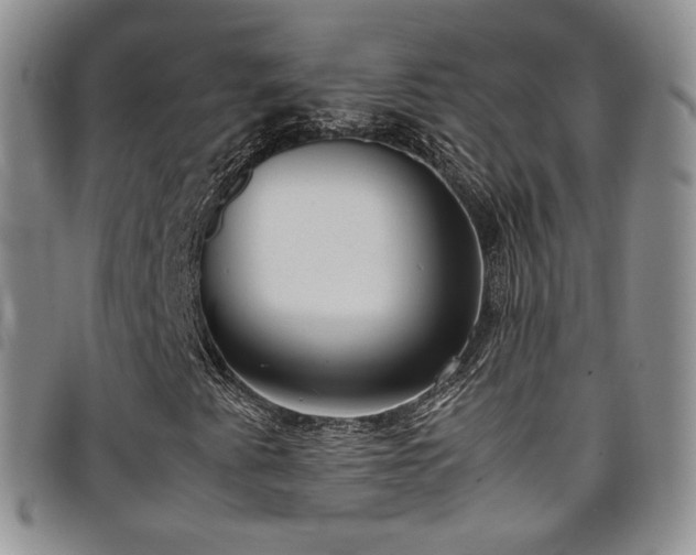 X0000099231345200804241445