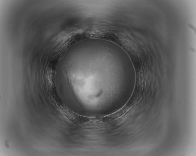 X0000099231346200804241445