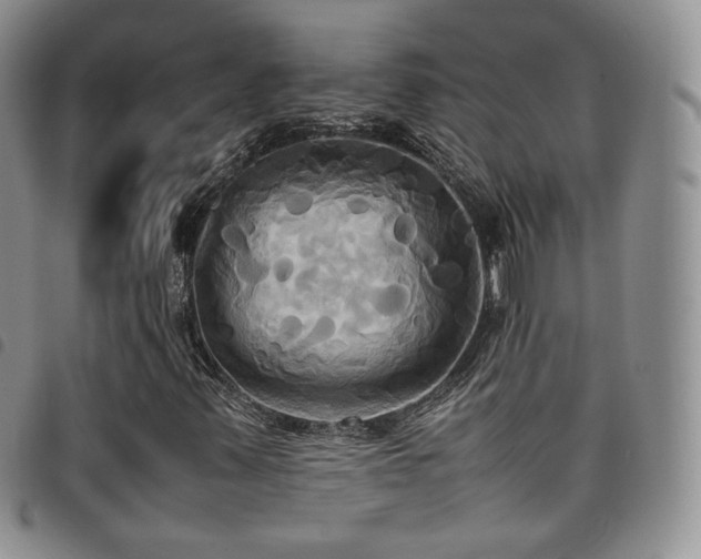 X0000099231347200804241445