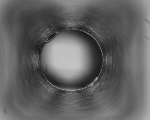 X0000099231348200804241445