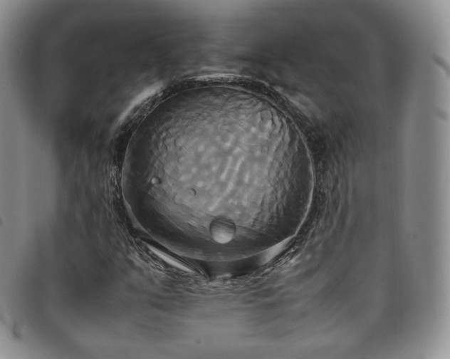 X0000099231351200804241445