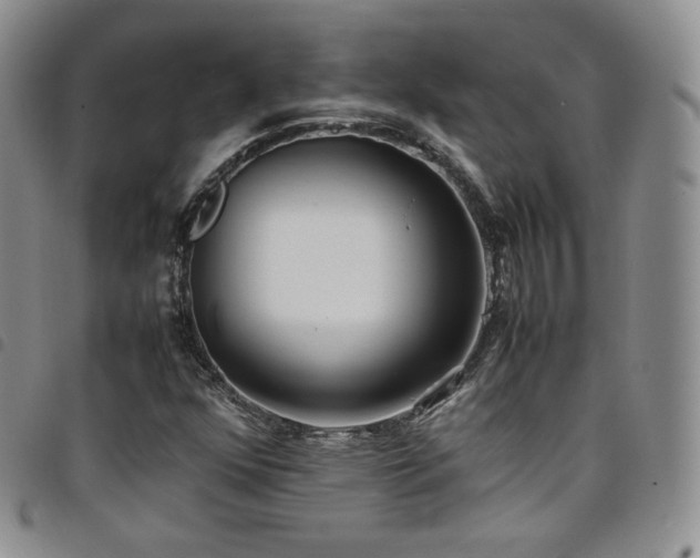 X0000099231352200804241445