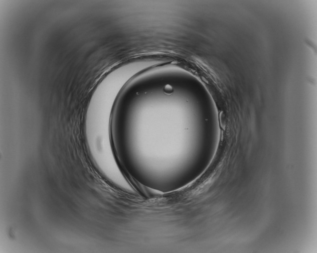 X0000099231353200804241445