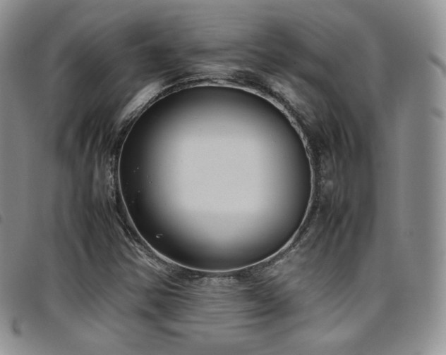 X0000099231354200804241445