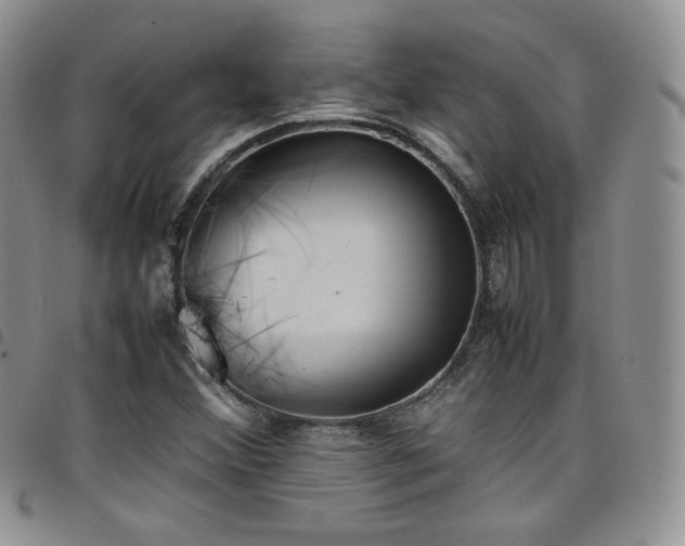 X0000099231356200804241444