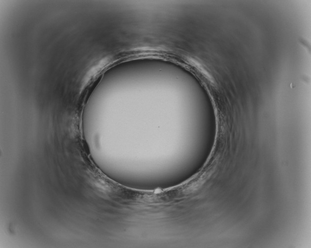 X0000099231357200804241444