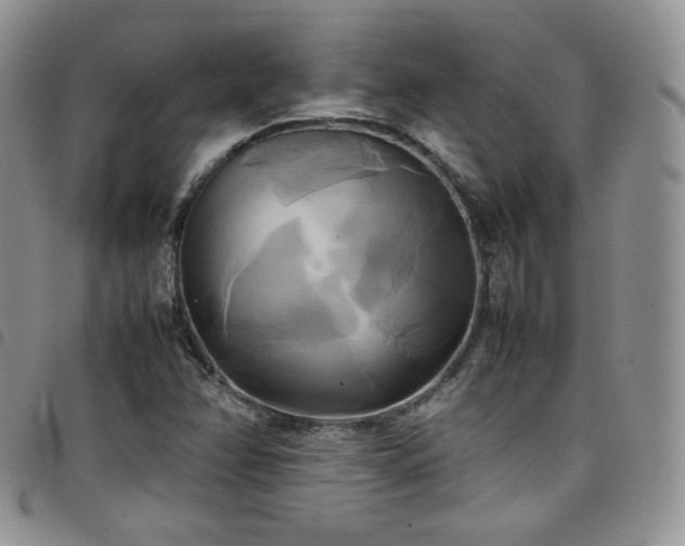 X0000099231358200804241444