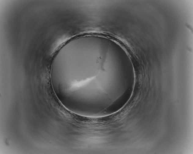 X0000099231359200804241444