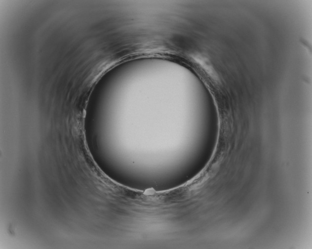 X0000099231361200804241444