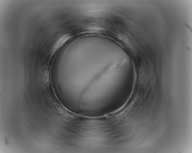 X0000099231362200804241444