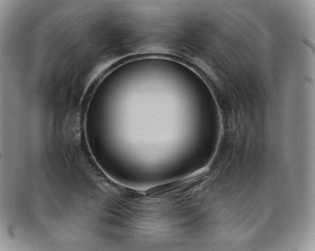X0000099231364200804241444