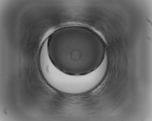 X0000099231365200804241444