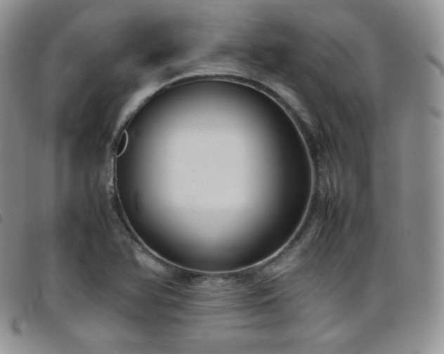 X0000099231366200804241444