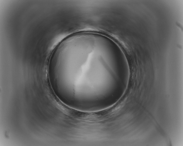 X0000099231367200804241444
