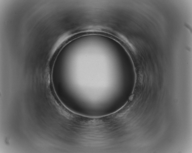 X0000099231368200804241444