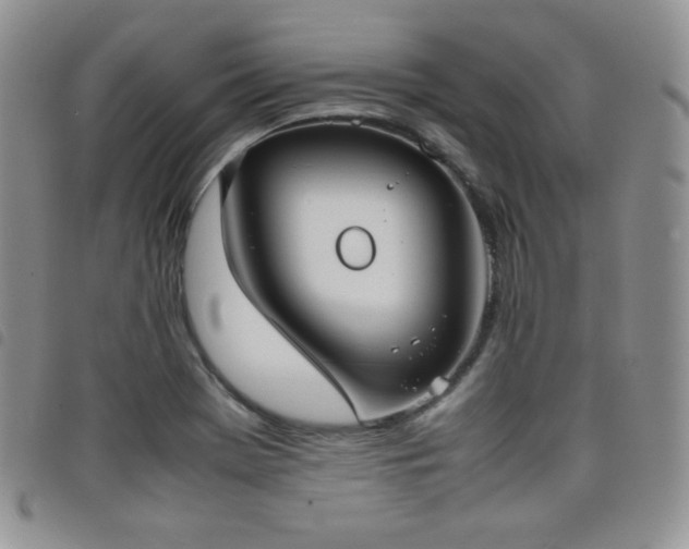 X0000099231369200804241444