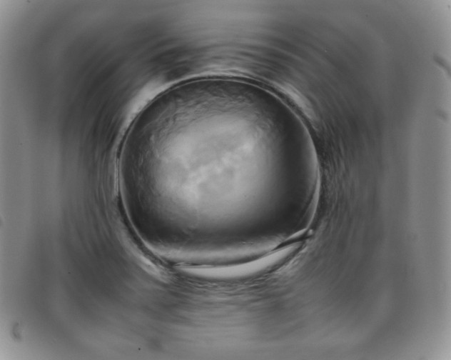 X0000099231371200804241444