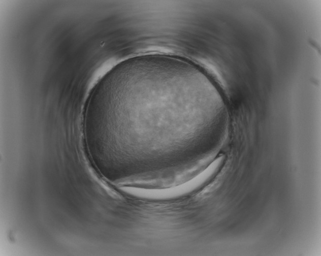 X0000099231373200804241444