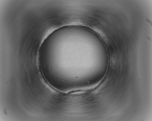 X0000099231374200804241444