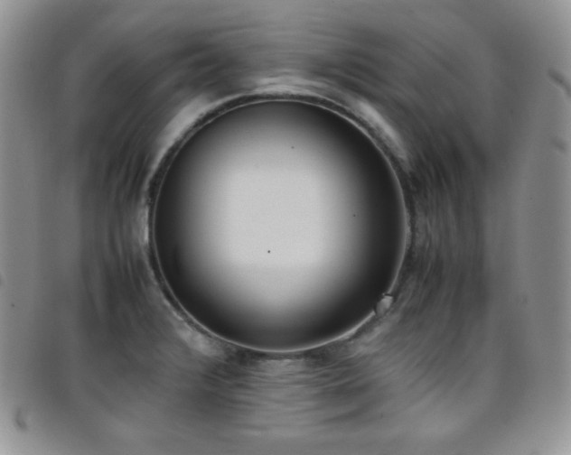 X0000099231376200804241444