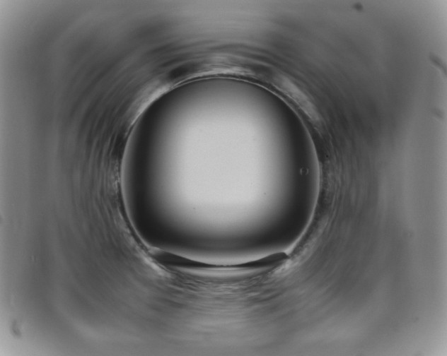 X0000099231377200804241444