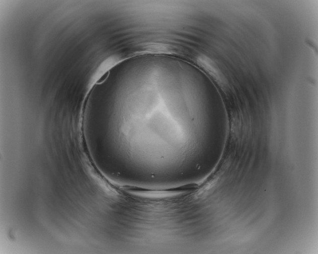X0000099231378200804241444