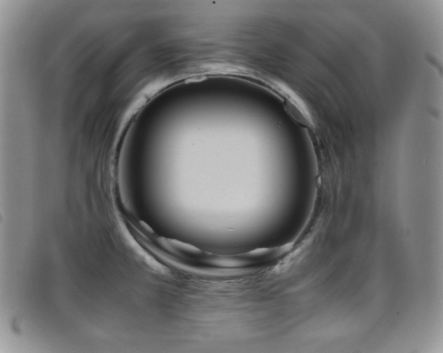 X0000099231381200804241444