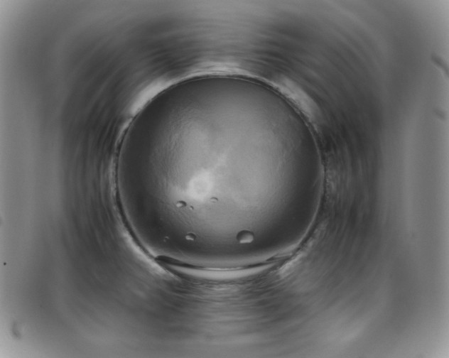 X0000099231382200804241444