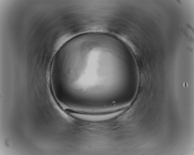 X0000099231383200804241444